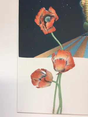 Ernst Hanke - gravity is relative kopen? Bied vanaf 80!