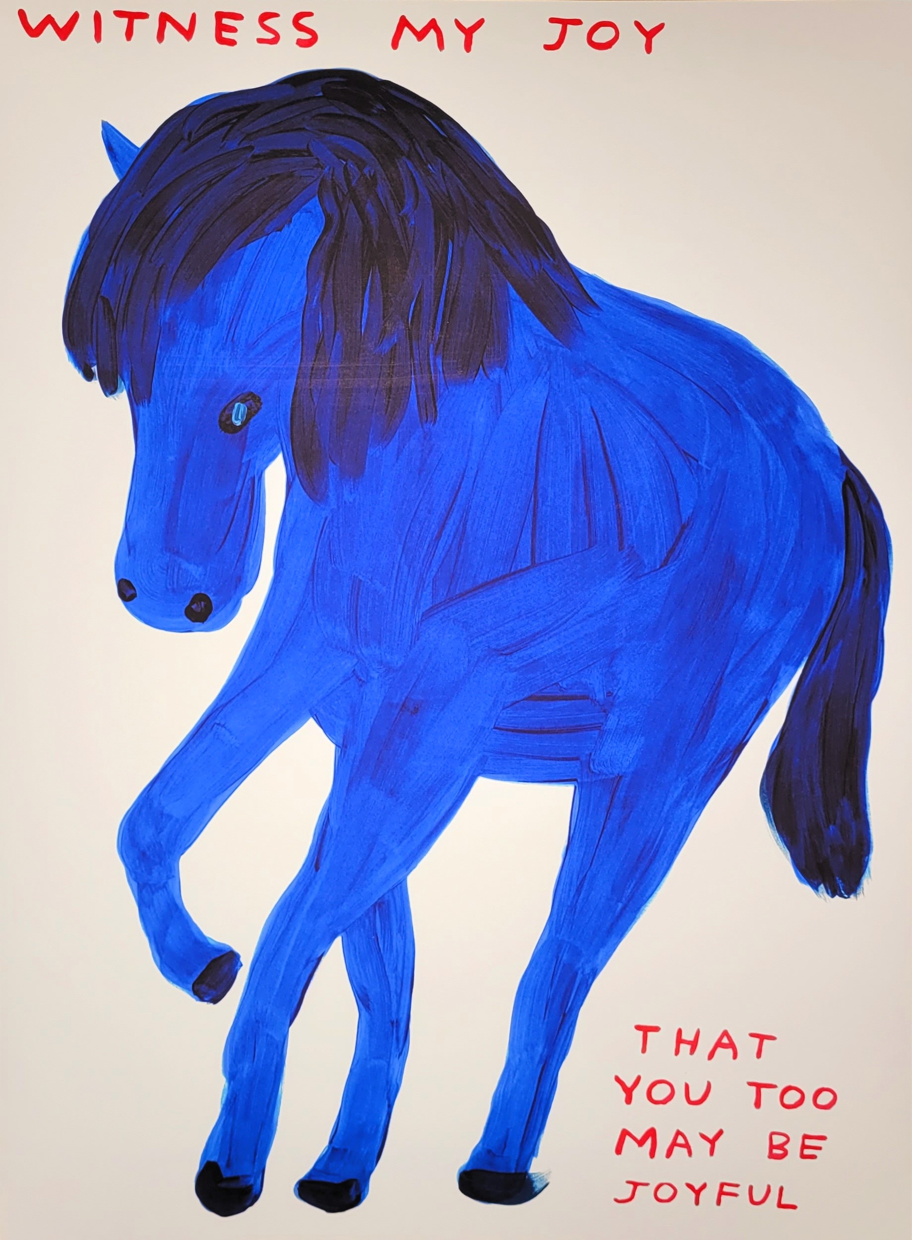 David Shrigley - Witness My Joy kopen? Bied vanaf 1750!
