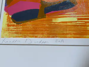 Xandra Donders - E & A 2e deel kopen? Bied vanaf 30!