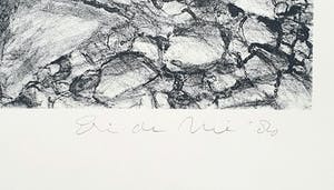Eric de Nie - Litho: 'Zelfschaduw' kopen? Bied vanaf 55!