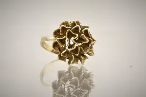 Sierlijke 14 karaats geel-gouden opengewerkte Bloem of Dahlia ring - gekeurd kopen? Bied vanaf 170!
