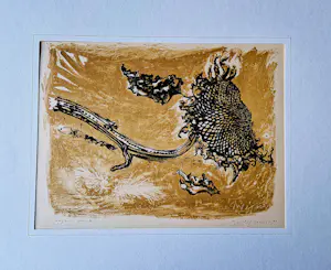 Toon Wegner - Fraaie eigen druk kleuren-lithografie | 'Zonnebloem' | 1962 - inkt gesigneerd kopen? Bied vanaf 29!