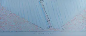 Co Westerik - Kleurenlitho: "Bloemornament" - 1987 kopen? Bied vanaf 150!