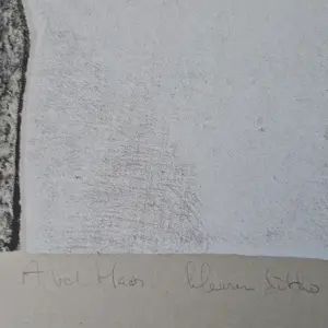 Anco van der Haar - "grafisch gezelschap De Luis" kleuren litho / eigen druk zeer kleine oplage (15) kopen? Bied vanaf 45!