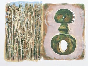 Ed van der Kooy - Litho, Sacred roots kopen? Bied vanaf 1!
