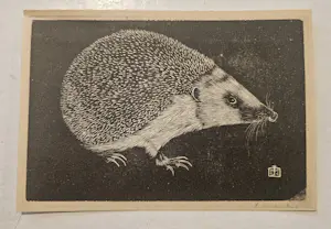 Jan Mankes - de egel kopen? Bied vanaf 40!