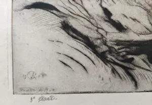 Johannes Graadt van Roggen - Pointe du Raz kopen? Bied vanaf 95!