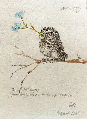Peter Vos - Uil met bloemen, tekening / aquarel verkocht voor € 510!