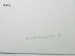 Kamagurka - De man uit twee stukken en zijn bril kopen? Bied vanaf 125!