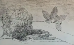Max Ernst - Map met 34 werken: Histoire Naturelle - 1972 kopen? Bied vanaf 499!