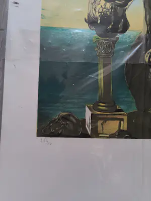 Salvador Dali - Chevaux surréalistes. Lithographie... kopen? Bied vanaf 375!
