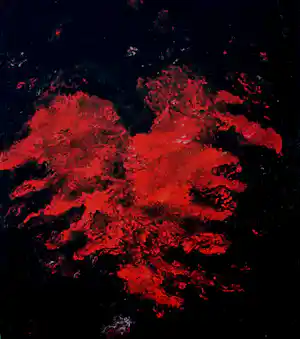 Armando - Giclee: Flügel kopen? Bied vanaf 169!