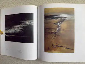 Zao Wou-Ki - Livre d'art - La quête du silence kopen? Bied vanaf 40!