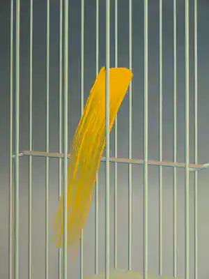 Jeroen Henneman - Ingelijste zeefdruk , Kanarie in Kooi – 1987 , 100 jaar Albert Heijn verkocht voor € 240!