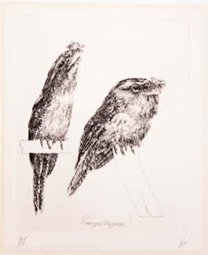 Peter Vos - Ets, Pordargus strigoïdes verkocht voor € 120!