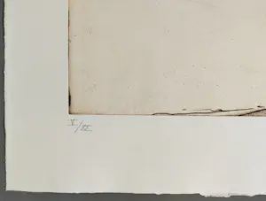 Ronald Tolman - gesigneerde ets kopen? Bied vanaf 79!