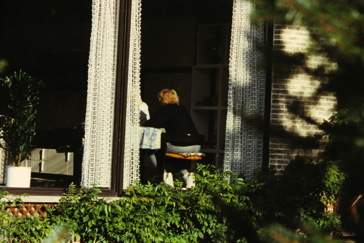 Anne Daems (1966)