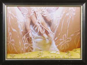 Cornelie Tollens - C-print, Britney's Knickers - Ingelijst verkocht voor € 132!