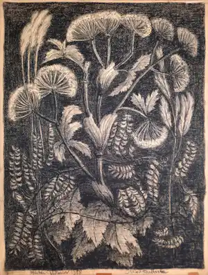 Jan van den Thillart - Sybirisch krijt - Bloemen en Planten uit 1950 - JVDT18 verkocht voor € 395!