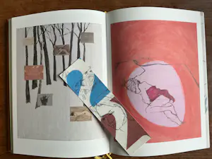 Jasper Krabbé - Zeefdruk en boek in cassette kopen? Bied vanaf 325!