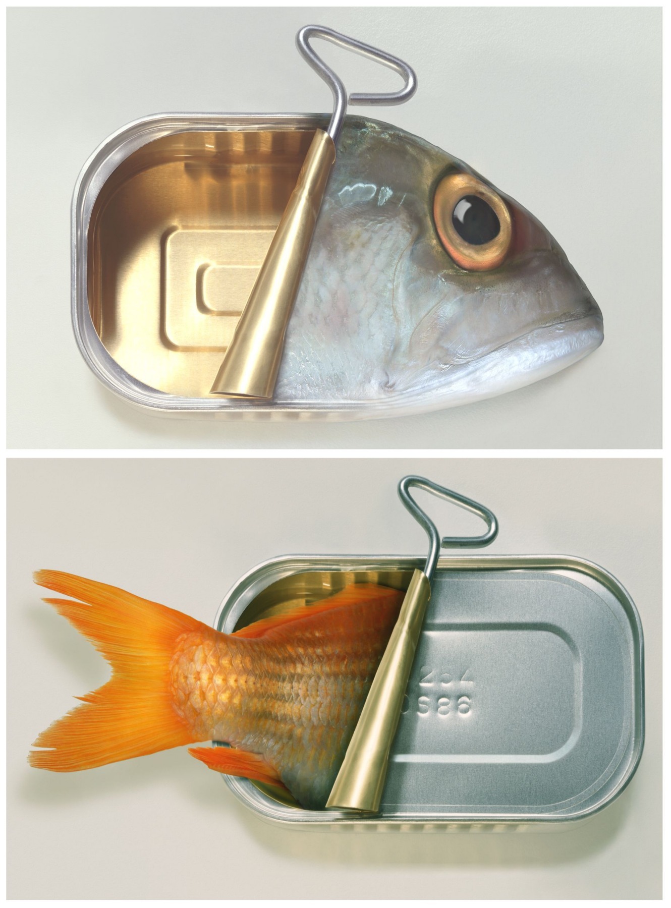 Dominic Rouse - 'Fish Can & Fish Can't' (2011) - Twee prints kopen? Bied vanaf 110!