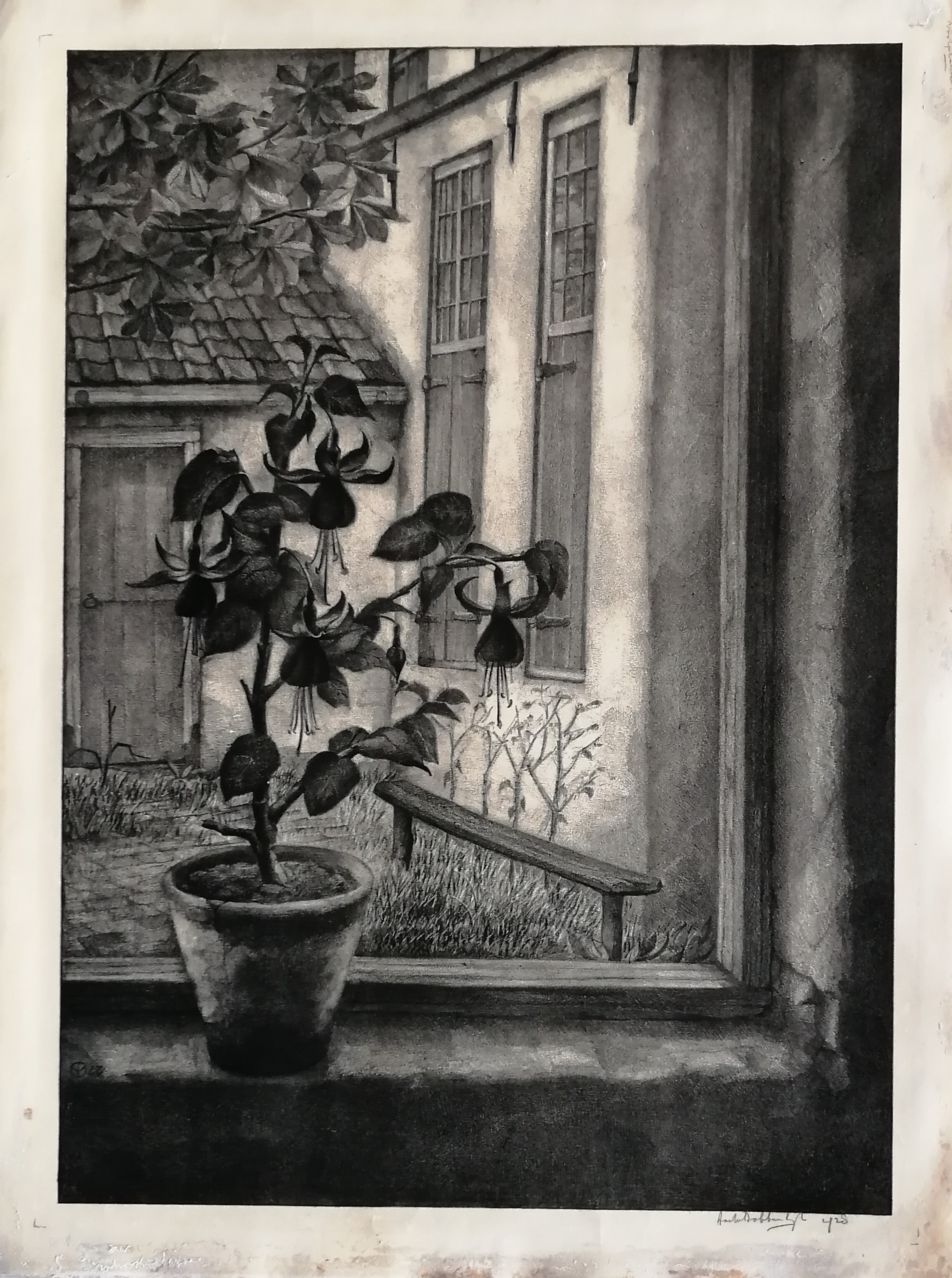 Aart van Dobbenburgh - Fuchsia in vensterbank kopen? Bied vanaf 70!