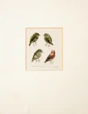 Peter Vos - Aquarel, Noord-Hollands Duinreservaat verkocht voor € 820!