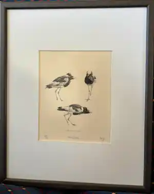 Peter Vos - Smidsplavier verkocht voor € 100!