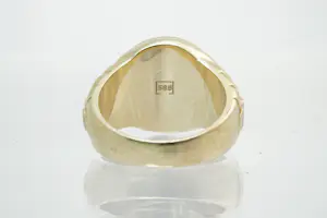 53 - Fraai gedetailleerde 14kt bi-color gouden Leeuwenkop ring kopen? Bied vanaf 370!