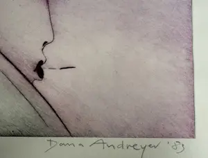 Dana Andreev - handgesigneerde kleurenets | 'Stranger' | 1983 (ZEER KLEINE OPLAGE) kopen? Bied vanaf 90!