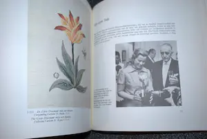 Cecile Dreesmann - vertelt over haar levenswerk, gesigneerd met opdracht 4 dec 1977,incl expoboekje kopen? Bied vanaf 20!