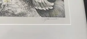 Hedwig Pauwels - Hommage aan Theo van Hoytema (1863-1917) kopen? Bied vanaf 25!