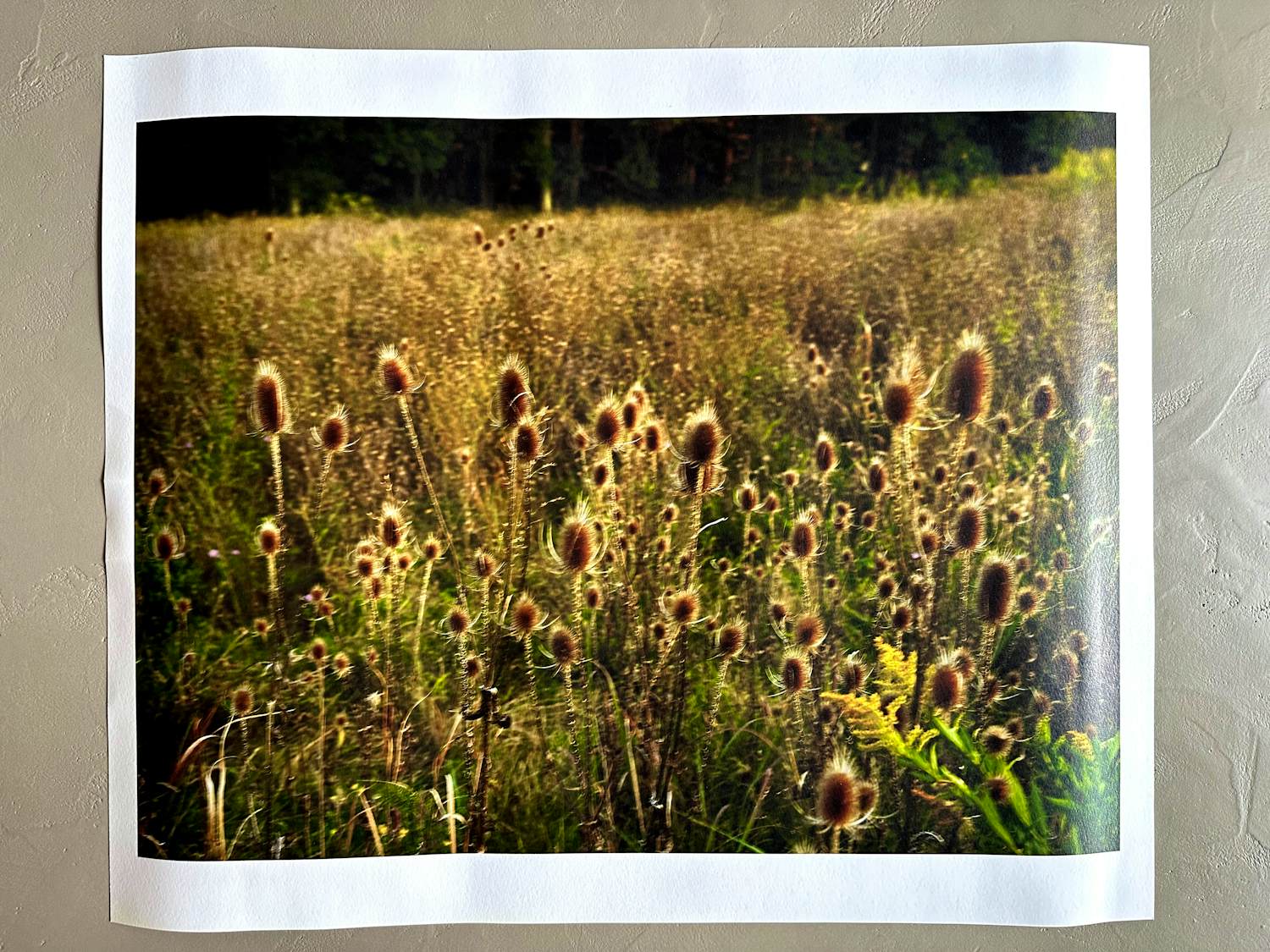 Veilingresultaten van Nan Goldin | Kunstveiling.be