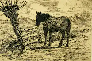 Sam Schellink - zonder titel (paard) verkocht voor € 35!