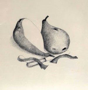 Metten Koornstra - Twee Peren - Handgesigneerd & ingelijst met passepartout (1972) kopen? Bied vanaf 1!