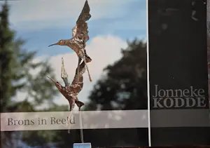 Jonneke Kodde - Walking around - Loopeenden - inclusief boek kopen? Bied vanaf 875!