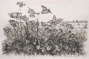 Willem Minderman - Wilde planten met landschap, ets kopen? Bied vanaf 40!