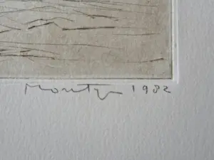 Jan Montyn - in 1982 gemaakte Ets & Aquatint - ZT- kleine oplage (30) - potloodgesigneerd kopen? Bied vanaf 63!