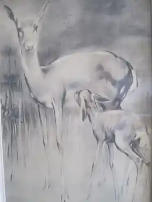 Han van Meegeren - Ree met kalf kopen? Bied vanaf 30!
