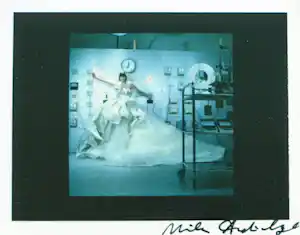 Miles Aldridge - Ingelijste en gesigneerde Polaroid-foto , Vrouw in witte jurk verkocht voor € 150!