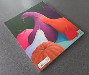 Nicolas Party - Buch Monographie Phaidon Press handsigniert von Nicolas Party kopen? Bied vanaf 70!