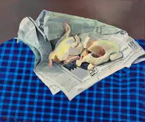Frans Clement - Stilleven met haantjes op een krant verkocht voor € 250!