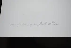 Ger Dekkers - Flevoland, Wood of silver poplars - incl.boekwerk kopen? Bied vanaf 65!