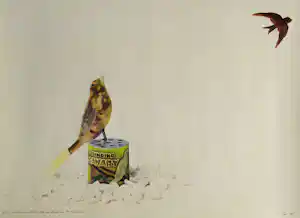 Th.W.L. de Pree - “beter 1 zwaluw in de lucht dan de lucht van 10 kanaries” - gesigneerde litho kopen? Bied vanaf 49!
