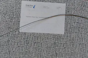 Co Westerik - Ingelijste kleurenlitho 'Am Waldrand' kopen? Bied vanaf 250!