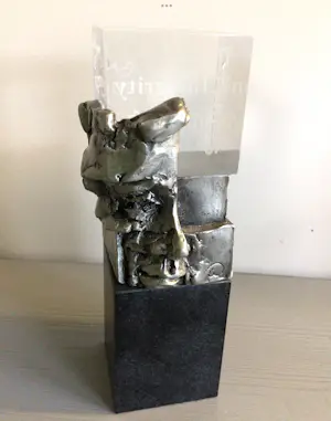 Ad Haring - Sculptuur / Afstudeer plaat Erasmus Universiteit .. kopen? Bied vanaf 90!