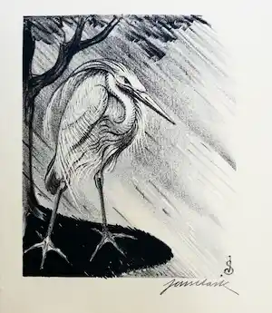 Jan Schonk - Reiger verkocht voor € 75!
