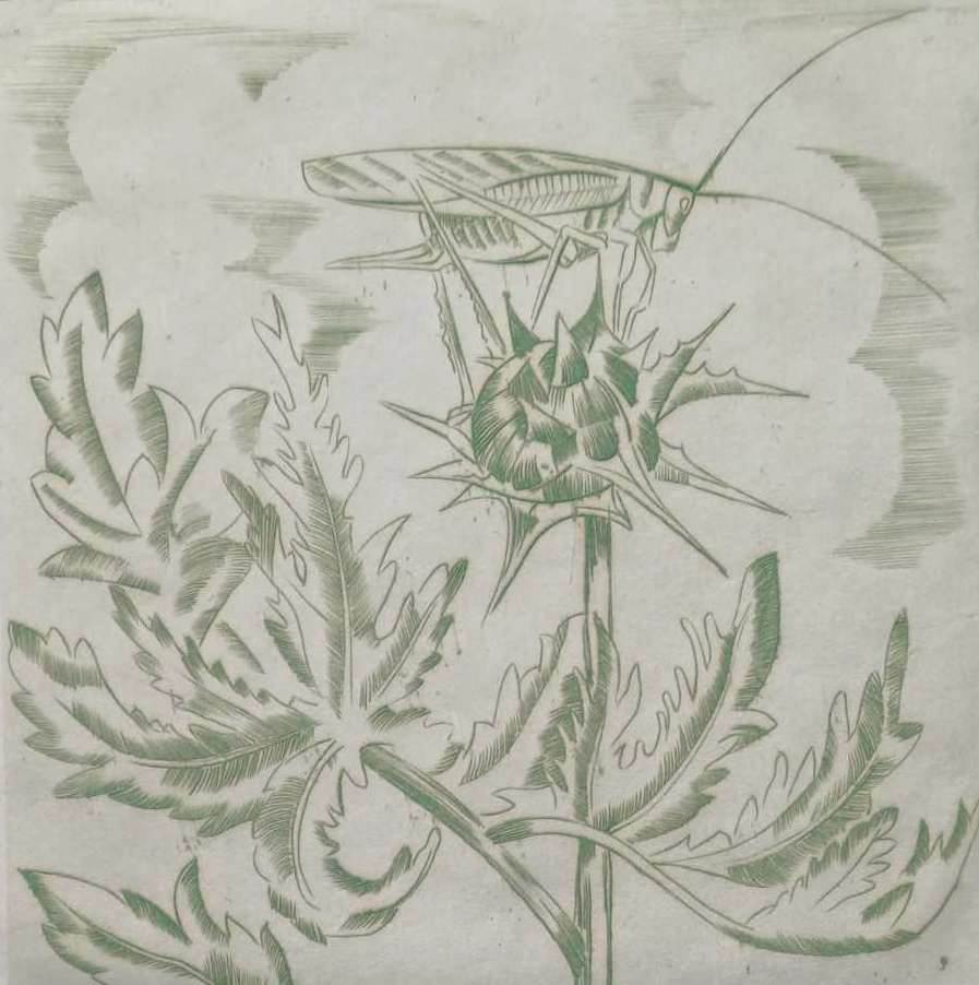 Jeanne Bieruma Oosting - Kleurenets: 'sprinkhaan' - 1936 kopen? Bied vanaf 299!