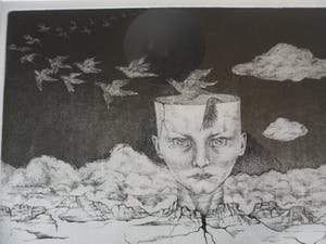 Madeleine Leddy - Ets, Titel, "Vogelvlucht". kopen? Bied vanaf 35!