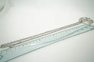 39 - Lang 1e gehlt. zilveren collier en grote "the beauty of heaven" hanger kopen? Bied vanaf 80!